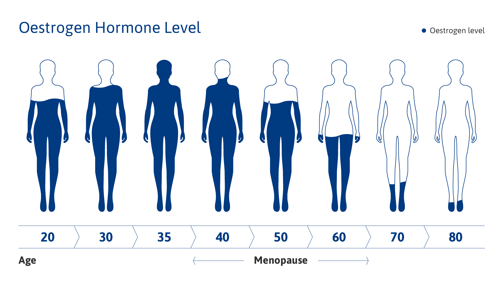 menopause oestrogen hormone level menopause oestrogen hormone level